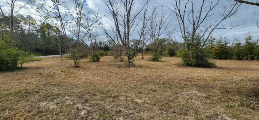 Cleared lot