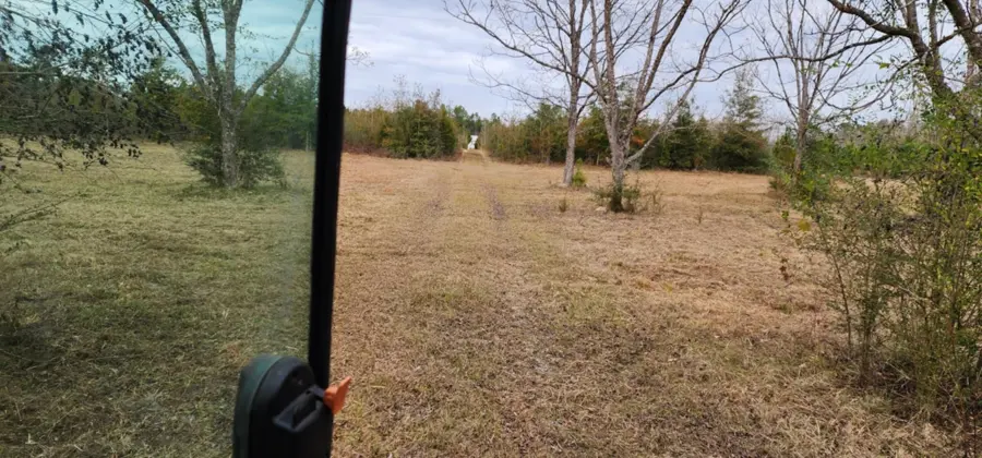 Brush hogged field